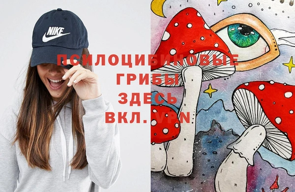 стаф Белокуриха